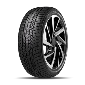 Roadstone  225/55/17  T 101 WINGUARD ICE PLUS