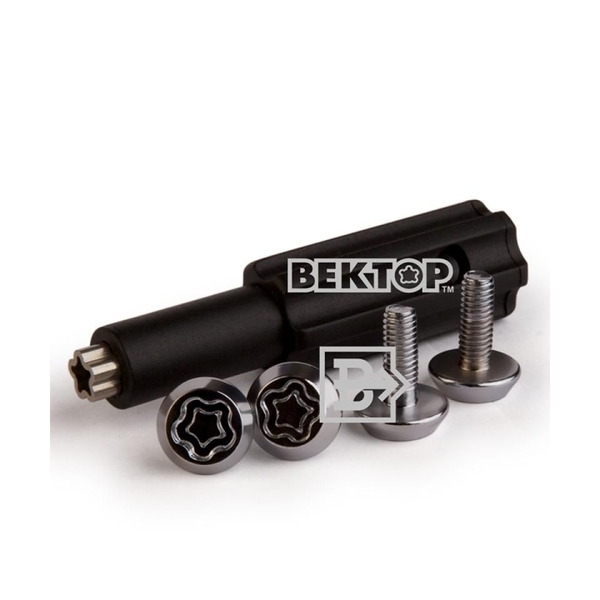 Вектор болт 6х1,00 L16 плоский на гос.номер [c121616-4]