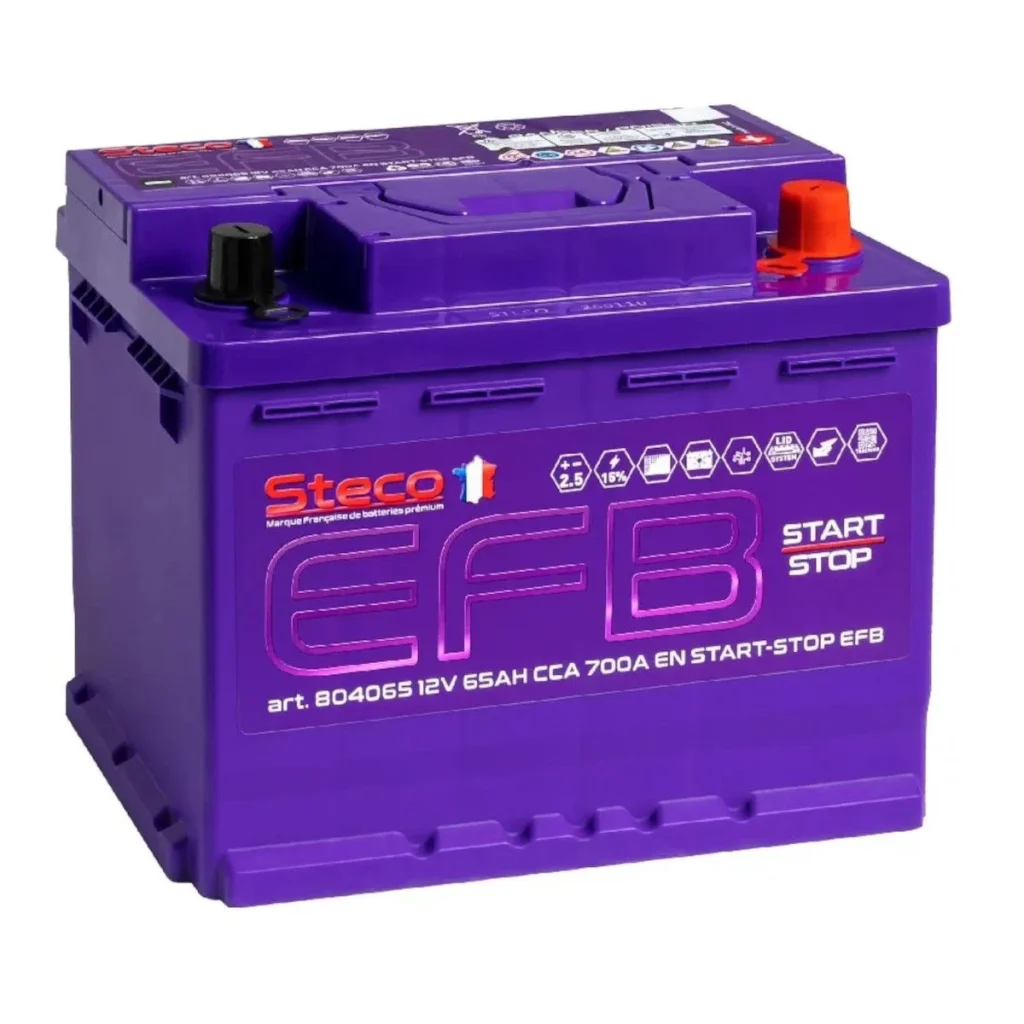 STECO  EFB  65Ah  700 En (обр)  804065 242х175х190