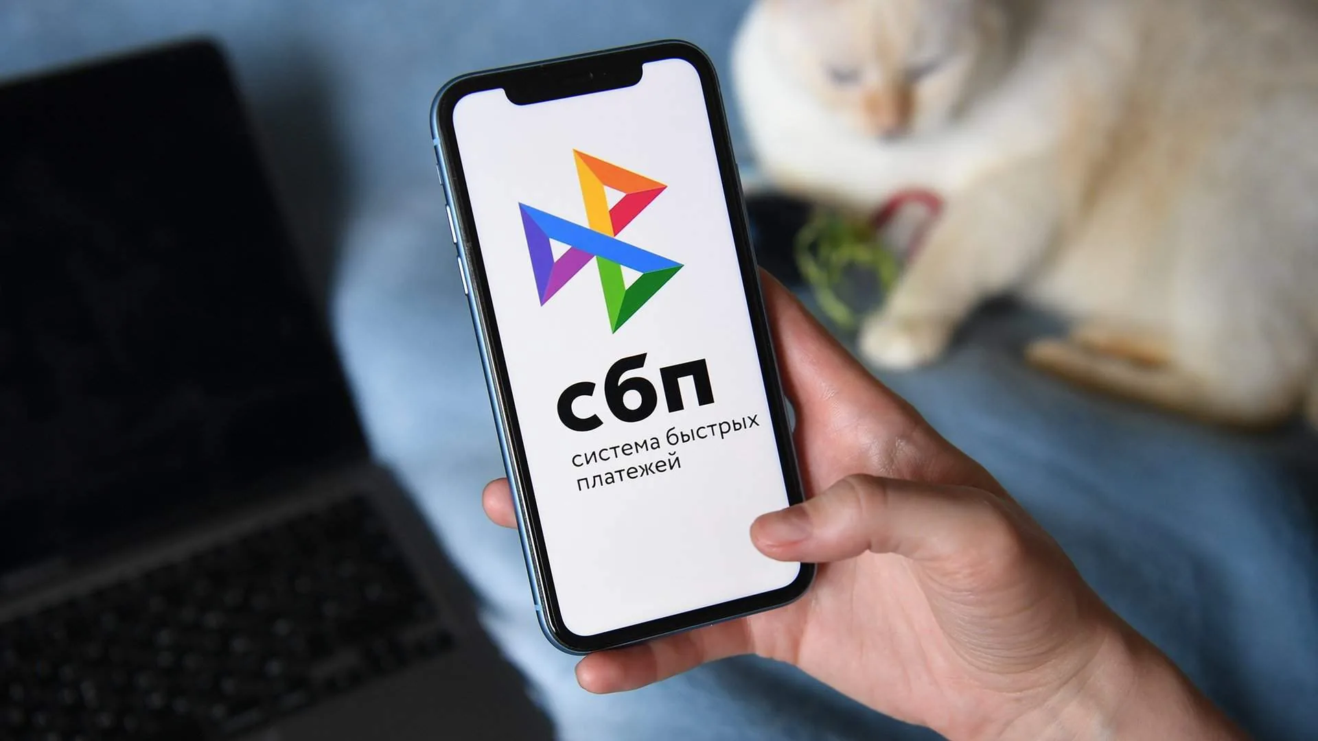 Система быстрых платежей (СБП) в SHIN FORCE