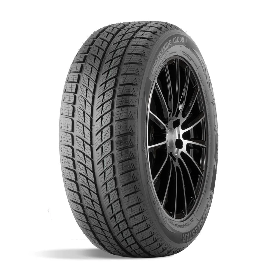 ДаблСтар  275/40/20  V 106 DW09  XL