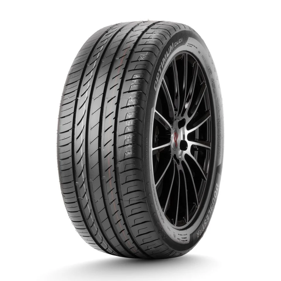 ДаблСтар  205/45/17  W 88 DU01